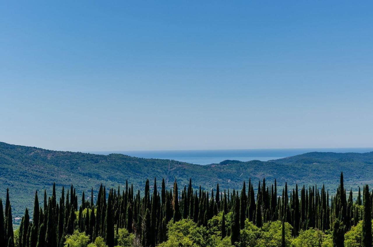 Villa Mateo With Private Pool Gruda Εξωτερικό φωτογραφία